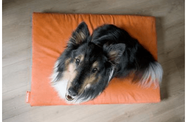 MATRACE AMINELA - 80X60X10CM HALF AND HALF (SIVÁ/ORANŽOVÁ)