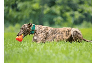 RUFF DAWG NEZNIČITEĽNÁ HRAČKA PRE PSOV SRDCE 7,6CM