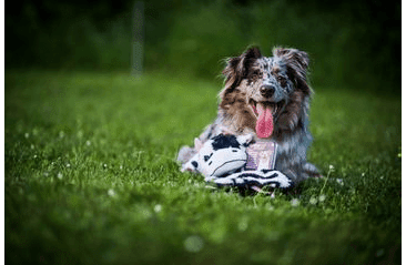 HRAČKA MULTIPET SQUEAKER MAT TUG KRAVA PLYŠ 35,5 CM