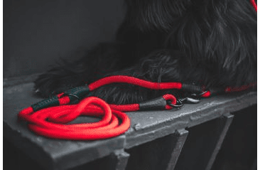 AMINELA FERRATA LANOVÉ PREPÍNACIE VODÍTKO - ČERVENÁ