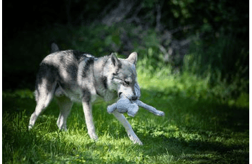 HRAČKA MULTIPET SWINGIN SAFARI SLON PLYŠ 48 CM