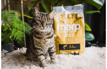 MARP HOLISTIC INDOOR CAT - PRE DOSPELÉ A STARŠIE MAČKY 2KG