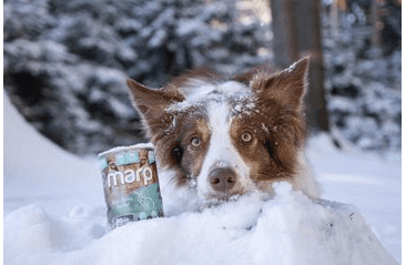 MARP VARIETY SINGLE KRÁLIK KONZERVA PRE PSOV 400G