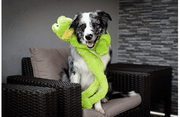 HRAČKA MULTIPET SWINGIN SLEVINS ŽABA PLYŠ 67 CM