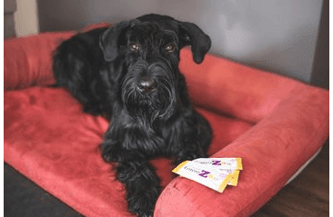 ENTEROZOO DETOXIKAČNÝ GÉL 10G