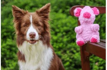 HRAČKA MULTIPET WRINKLEEZ PRASIATKO PLYŠ 23 CM