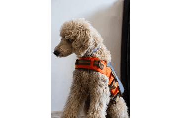 FARM COMPANY ZÁCHRANNÁ PLÁVACIA VESTA M