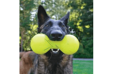 RUFF DAWG NEZNIČITEĽNÁ HRAČKA PRE PSOV ČINKA 21,5CM