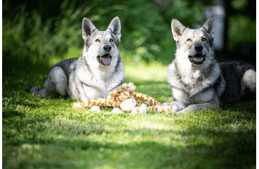 HRAČKA MULTIPET SWINGIN SAFARI ŽIRAFA PLYŠ 48 CM