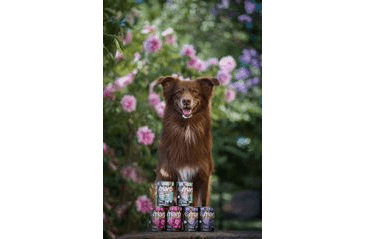 MARP VARIETY SINGLE KRÁLIK KONZERVA PRE PSOV 6X400G