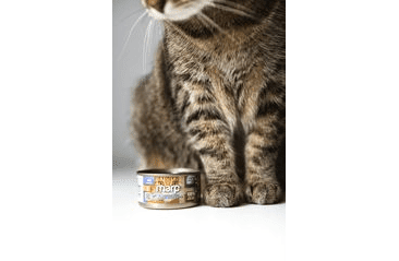 MARP HOLISTIC PLUS KONZERVA PRE MAČKY – TUNIAKOVÉ FILETY VO VÝVARE 24X70G