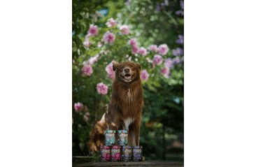 MARP VARIETY SINGLE MORKA KONZERVA PRE PSOV 6X400G