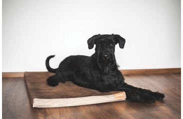 MATRACE AMINELA - 80X60X10CM HALF AND HALF HNEDÁ/BÉŽOVÁ