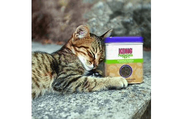 KONG NATURALS CATNIP PRÉMIUM 62G