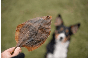 MARP HOLISTIC - SUŠENÝ PLATÝZ 2KS