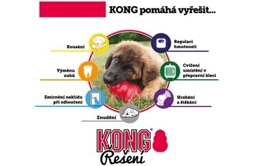 KONG PUPPY GRANÁT M