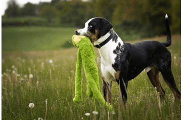 HRAČKA MULTIPET SWINGIN SLEVINS ŽABA PLYŠ 67 CM