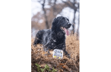 MARP NATURAL PLUS VANIČKA PRE PSOV S KURAŤOM A TEĽACÍM 150G