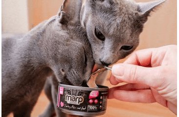 MARP TURKEY FILET KONZERVA PRE MAČKY S MORČACÍMI PRSIAMI 70G