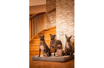 MATRACE AMINELA - 120X80X10CM HALF AND HALF SIVÁ/SIVÁ