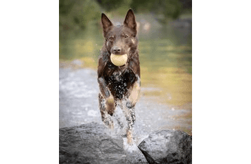 AMARAGO ECO FRIENDLY  HRAČKA PRE PSOV LOPTA ŽLTÁ, 8CM/105G