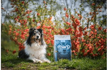 MARP NATURAL SENIOR AND LIGHT - S BIELOU RYBOU 2KG