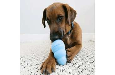 KONG PUPPY GRANÁT M