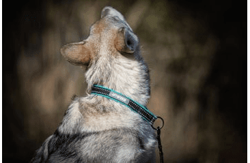 AMINELA  OBOJOK POLOSŤAHOVACÍ SPORT & CITY 54CM + 5CM, TYRKYSOVÁ/ČIERNA