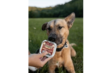 MARP WILD BOAR VANIČKA PRE PSOV S DIVIAKOM 100G