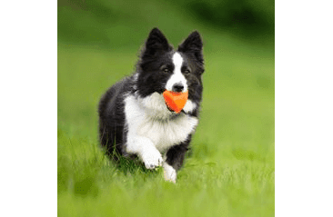 RUFF DAWG NEZNIČITEĽNÁ HRAČKA PRE PSOV PYRAMÍDA 7,6CM