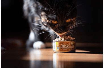 MARP HOLISTIC PLUS KONZERVA PRE MAČKY – KURACIE PATÉ S HOVÄDZÍMI KÚSKAMI 24X70G