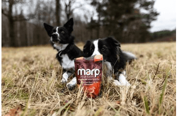 MARP HOLISTIC –  KAČACIE MAŠKRTY S KELPOU BEZ OBILNÍN 150G