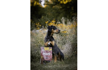 MARP HOLISTIC CHICKEN - KURACIE BEZ OBILNÍN 2KG