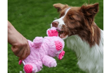 HRAČKA MULTIPET WRINKLEEZ PRASIATKO PLYŠ 23 CM