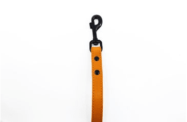 BAFPET KOŽENÉ VODÍTKO HERRY, ČIERNE KOVANIE - ORANŽOVÁ