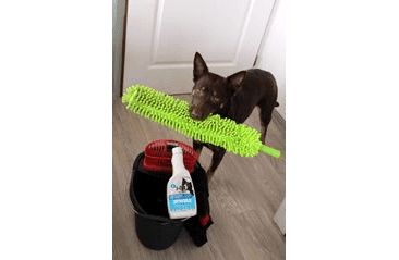 AMINELA CLEAN	EKOLOGICKÝ ODSTRAŇOVAČ ZÁPACHU NA PODLAHY 500ML