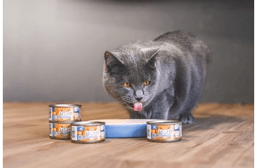 MARP HOLISTIC PLUS KONZERVA PRE MAČKY – TUNIAKOVÉ PATÉ SO SARDINKAMI 24X70G