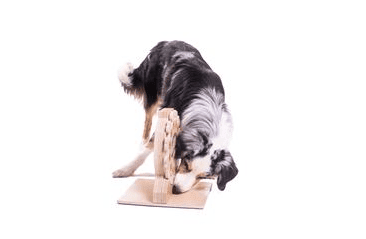 DREVENÝ HLAVOLAM CLOCK