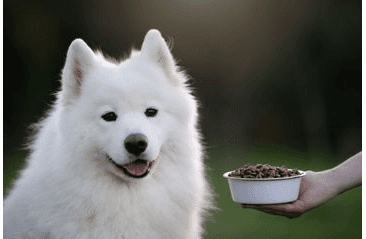 MARP HOLISTIC WHITE MIX LB - PRE VEĽKÉ PLEMENÁ BEZ OBILNÍN 2KG