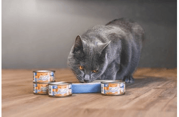 MARP HOLISTIC PLUS KONZERVA PRE MAČKY – TUNIAKOVÉ PATÉ SO SARDINKAMI 70G 2 + 1 KS ZADARMO