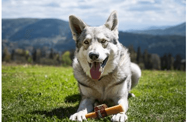 MARP HOLISTIC - HORSKÁ TYČINKA XL (110 - 119G)