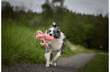 HRAČKA MULTIPET DEEP SEA  KALMÁRE PLYŠ 30 CM