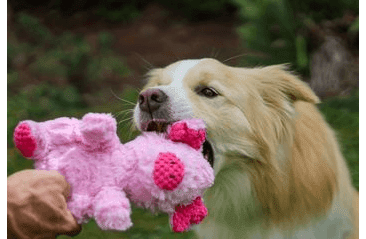 HRAČKA MULTIPET WRINKLEEZ PRASIATKO PLYŠ 23 CM