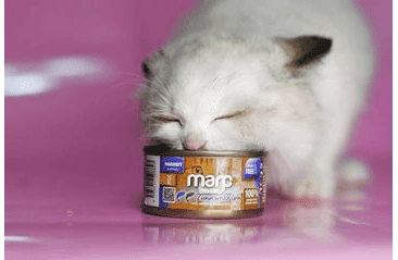 MARP HOLISTIC PLUS KONZERVA PRE MAČKY – TUNIAKOVÉ FILETY VO VÝVARE 70G