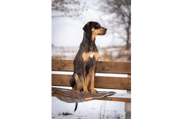 AMINELA PODLOŽKA S OBALOM 80X60 HNEDÁ