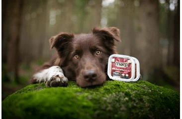 MARP WILD BOAR VANIČKA PRE PSOV S DIVIAKOM 100G