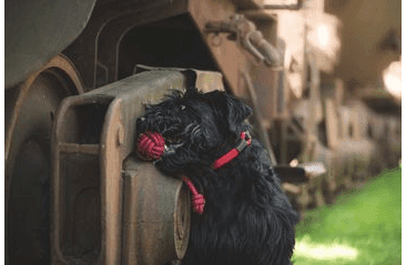 PEŠIEK HAMER, OKRÚHLY - BORDÓ