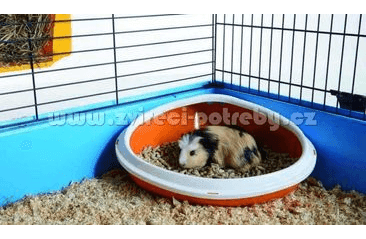 SAVIC CONCHA ROHOVÁ TOALETA PRE HLODAVCE 36 X 26,5 X 15,5 CM