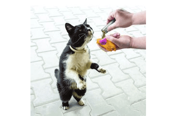 KONG REFILLABLES CATNIP PRE MAČKY V TUBE 3KS