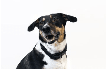 AMINELA FERRATA LANOVÝ OBOJOK - SIVÁ